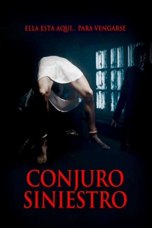 Póster de El Conjuro Siniestro