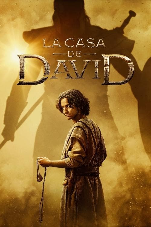 Póster de La casa de David