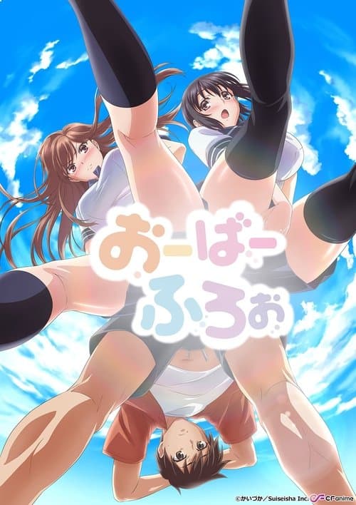 Póster de Overflow