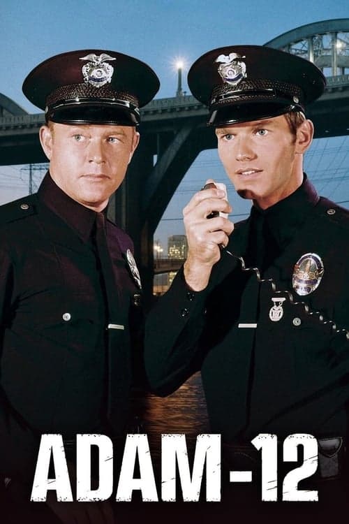 Póster de Área 12