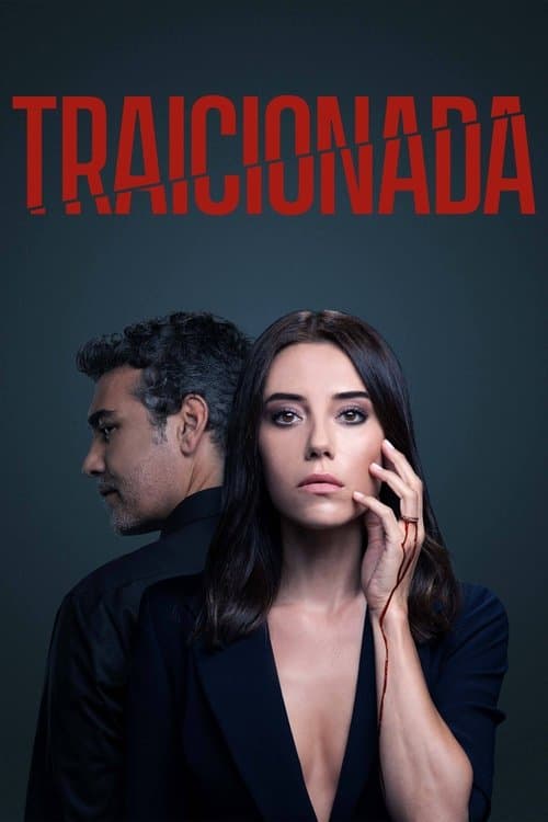 Póster de Infiel