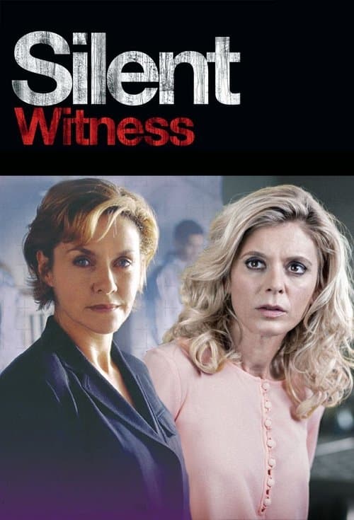 Póster de Silent Witness