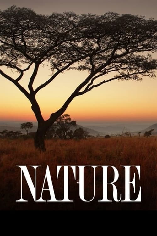 Póster de Nature
