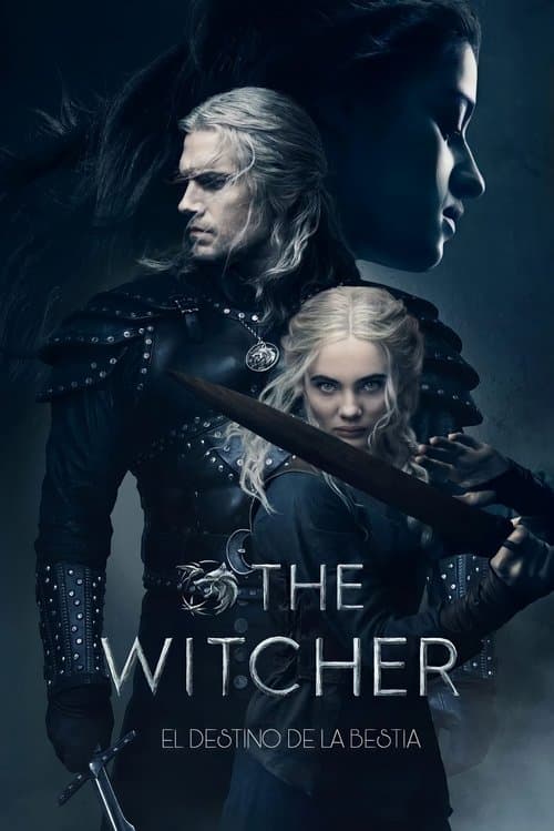 Poster of The Witcher