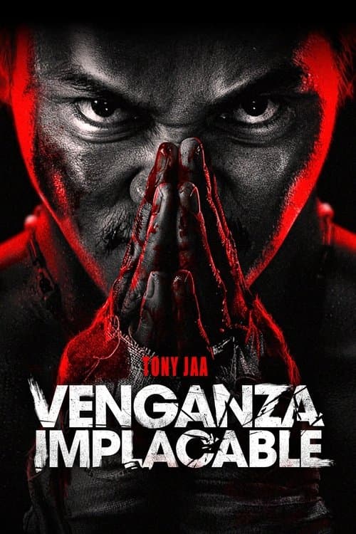 Póster de Venganza implacable