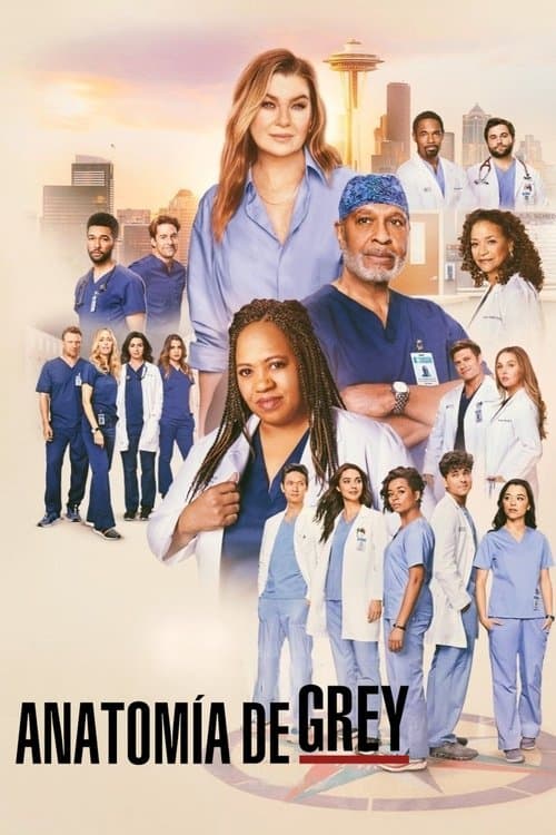 Póster de Anatomía de Grey