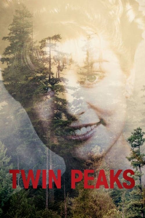 Póster de Twin Peaks