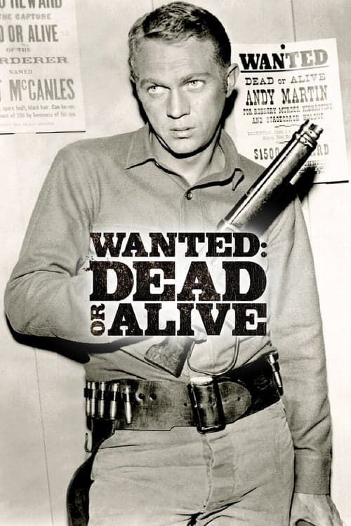 Poster of Randall, el justiciero