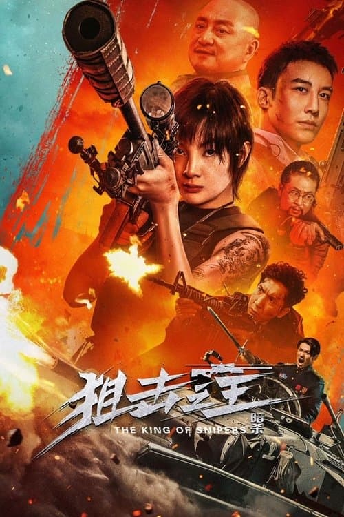 Póster de 狙击之王：暗杀
