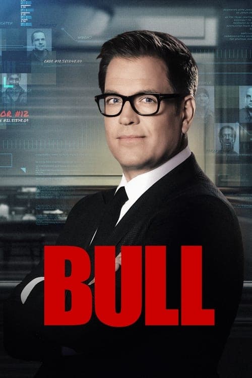 Póster de Bull