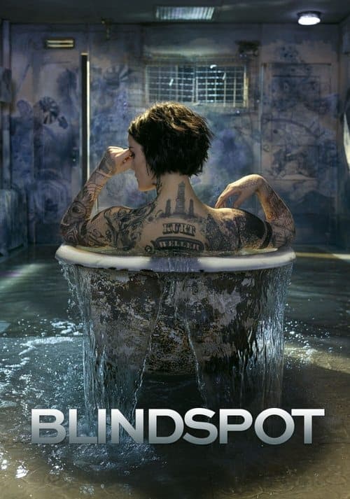 Póster de Blindspot