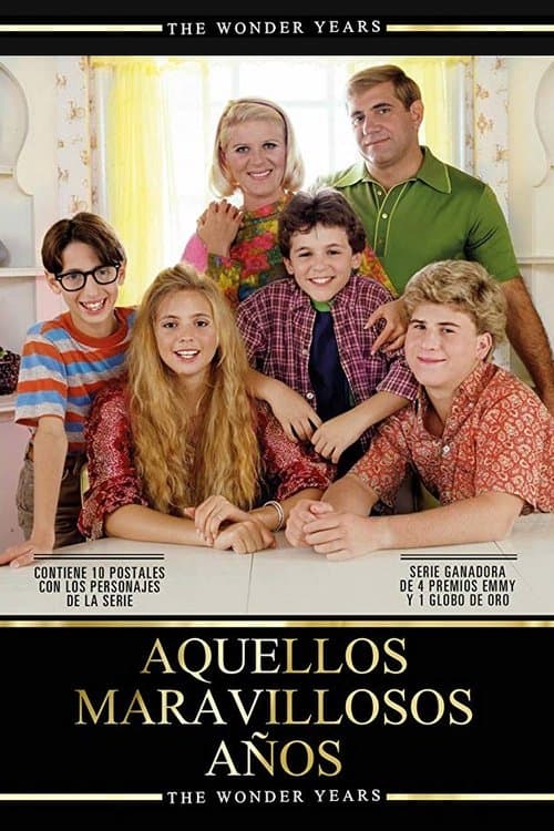 Póster de Los años maravillosos