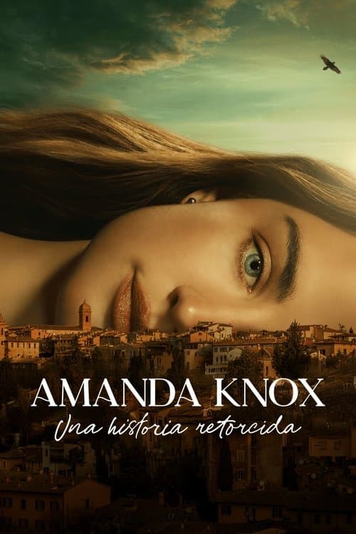 Póster de Amanda Knox: Una historia retorcida